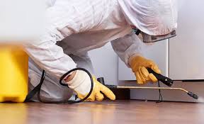 Best Residential Pest Control  in Nyon Lake, CA